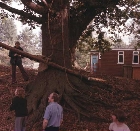 Pioneeriong at Walton Firs - Derek Pilley looking on