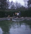 Derek Pilley and Martin Cook watch rafting at Broadstone Warren